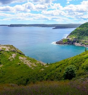 circle newfoundland labrador tour
