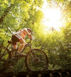 ontario lakes and parks holiday