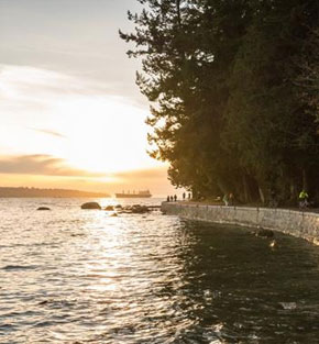 cow town to gold town holiday